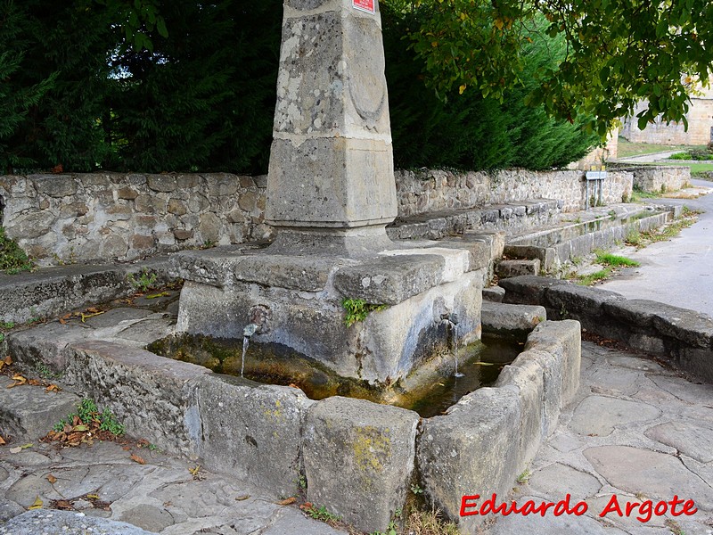 Fuente-abrevadero de Zalduondo