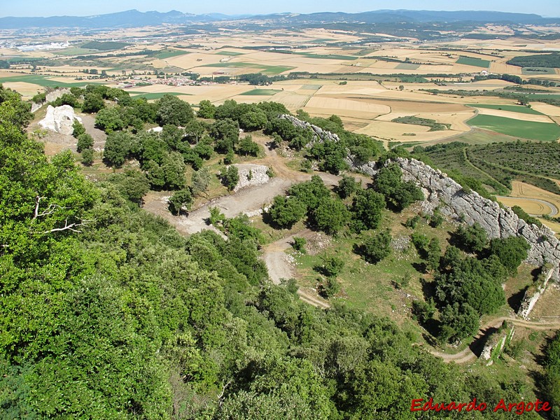 Muralla urbana de Portilla de Ibda