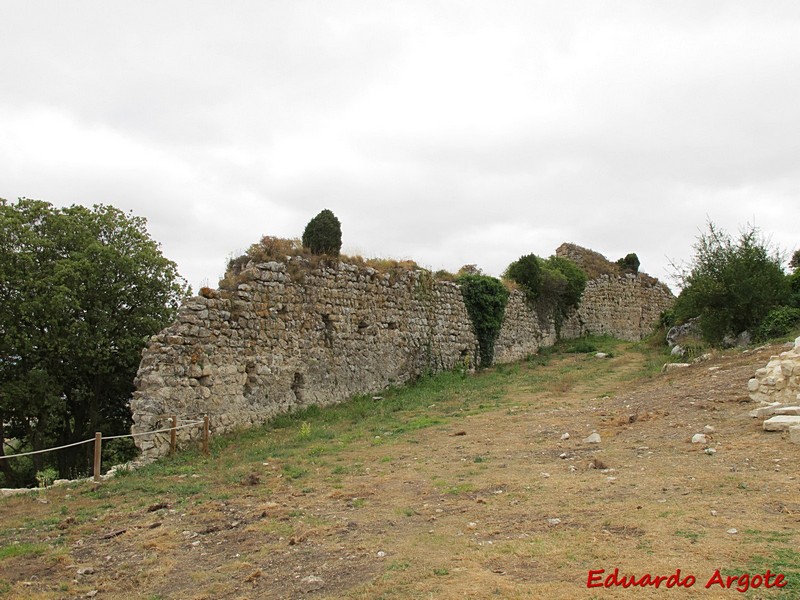 Muralla urbana de Portilla de Ibda