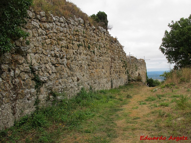 Muralla urbana de Portilla de Ibda