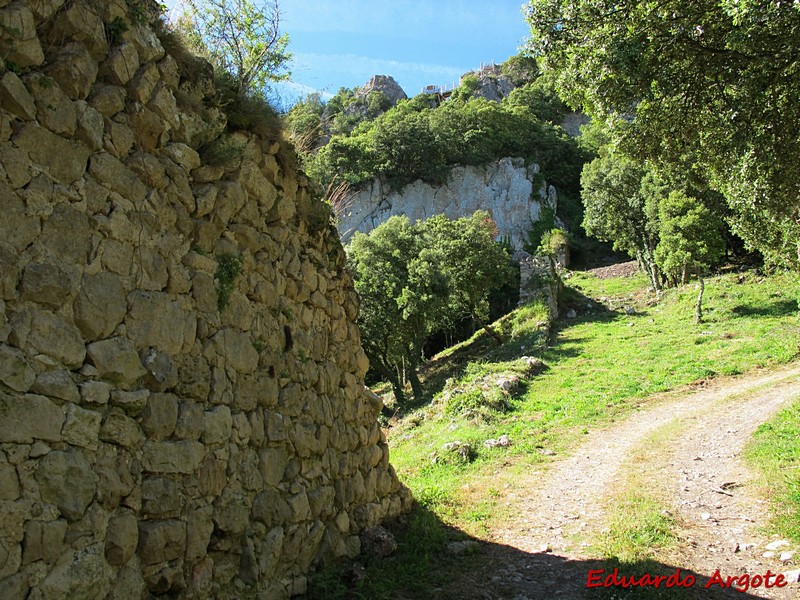 Muralla urbana de Portilla de Ibda