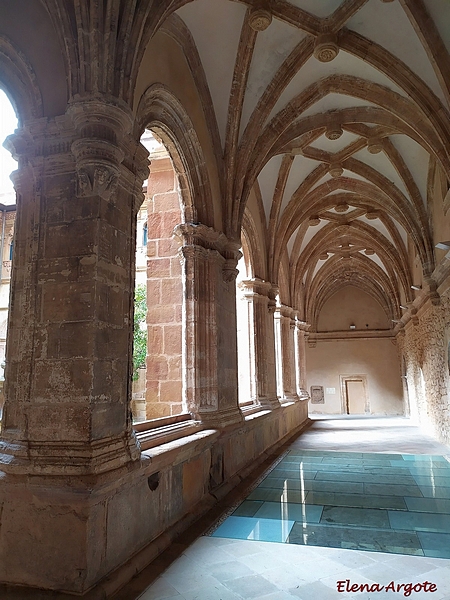 Museo Arqueológico de Oviedo