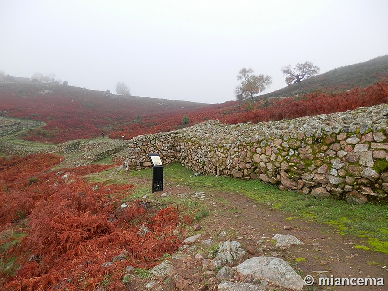 Castro de El Freíllo