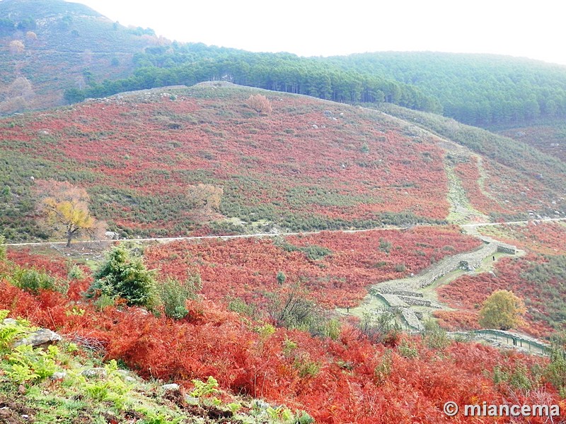 Castro de El Freíllo