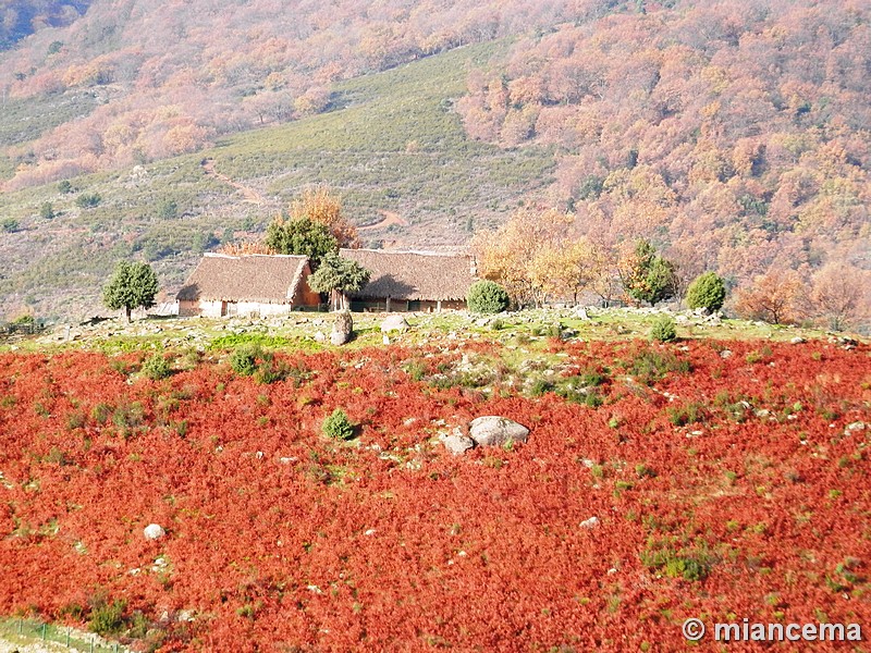 Castro de El Freíllo