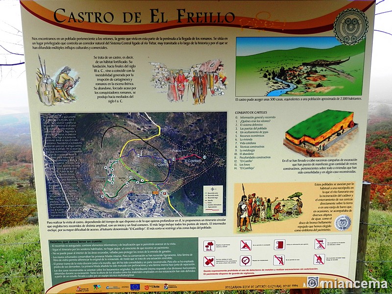 Castro de El Freíllo