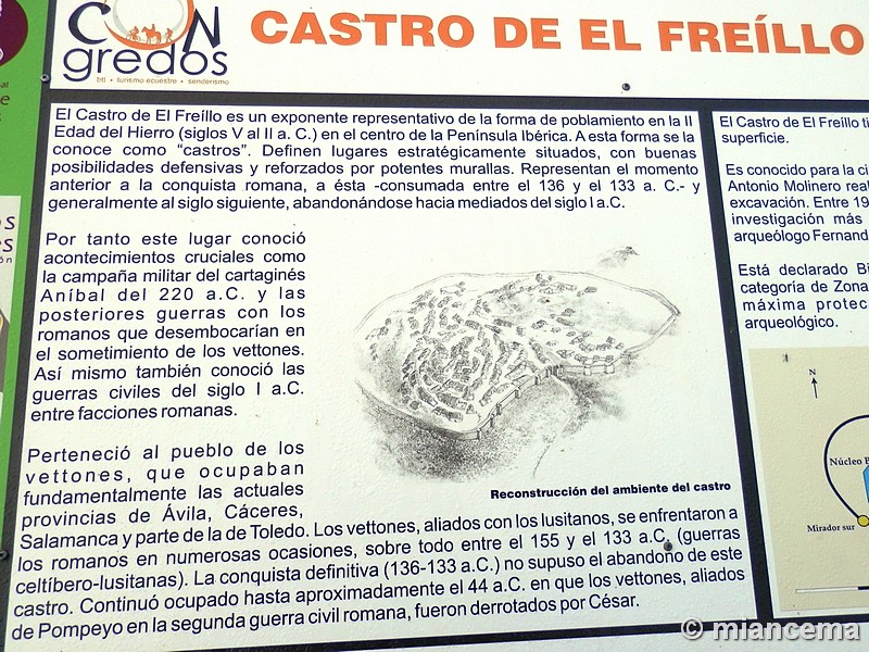 Castro de El Freíllo