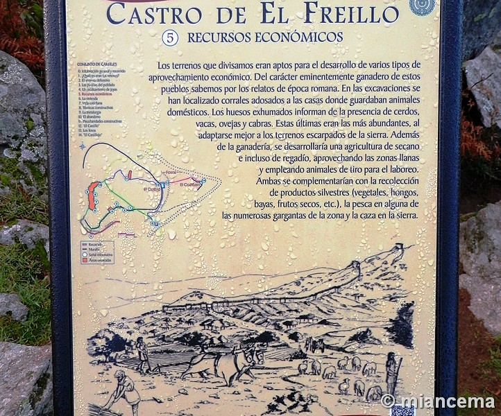 Castro de El Freíllo