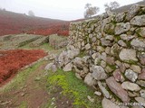 Castro de El Freíllo