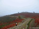 Castro de El Freíllo