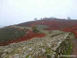 Castro de El Freíllo