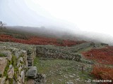 Castro de El Freíllo