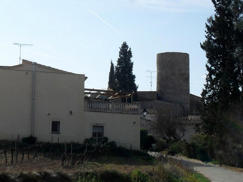 Torre de Arboçar de Baix