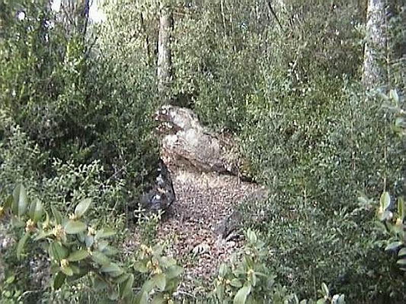 Dolmen de Puig Castellò