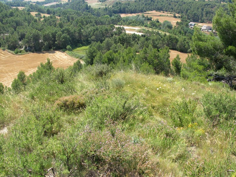 Castillo de Ocelló