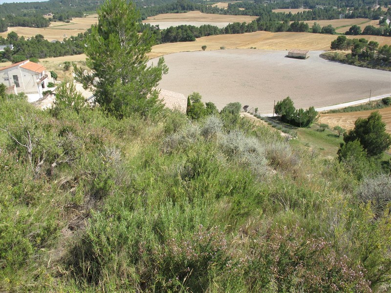 Castillo de Ocelló