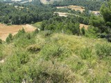 Castillo de Ocelló