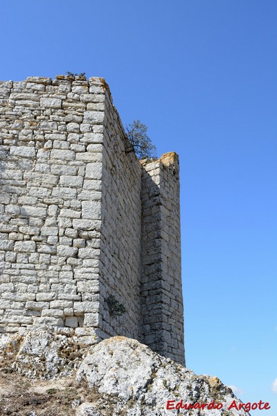 Castillo de Monasterio de Rodilla