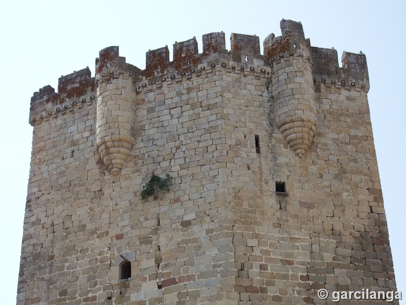 Castillo de los Duques de Alba