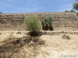 Muralla urbana de Granadilla