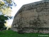 Muralla urbana de Granadilla