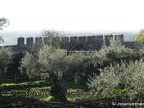 Muralla urbana de Granadilla