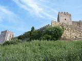 Castillo de Castellar Viejo
