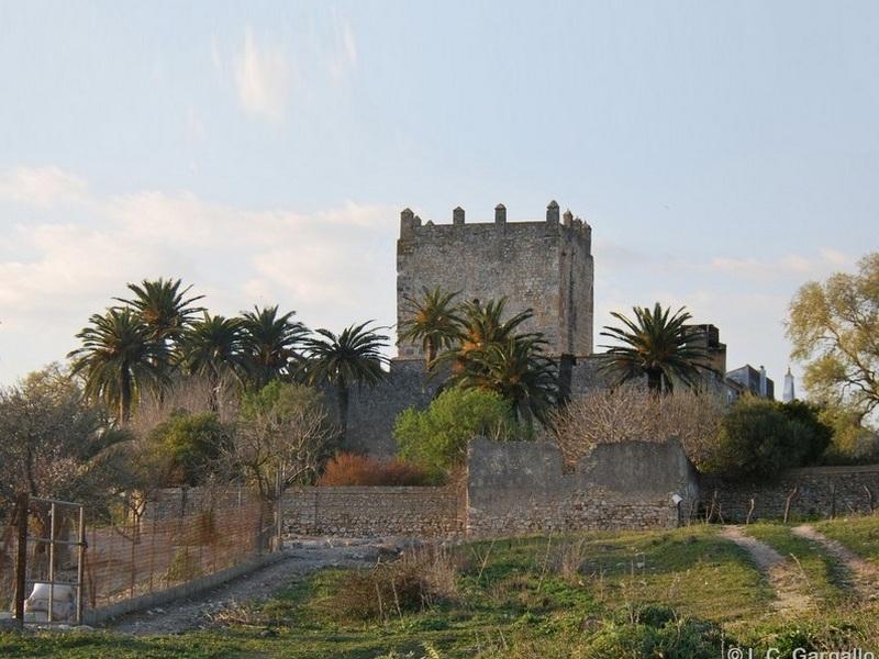 Castillo de Gigonza