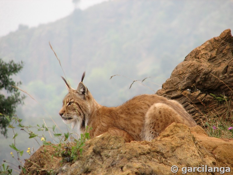 Parque Natural de Cabárceno