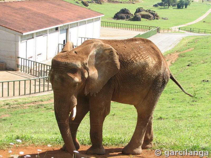 Parque Natural de Cabárceno