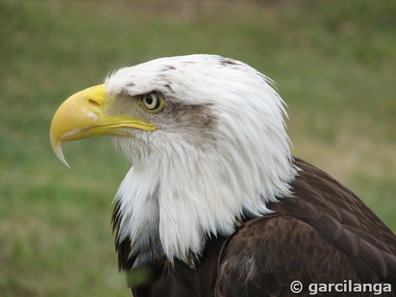 Parque Natural de Cabárceno