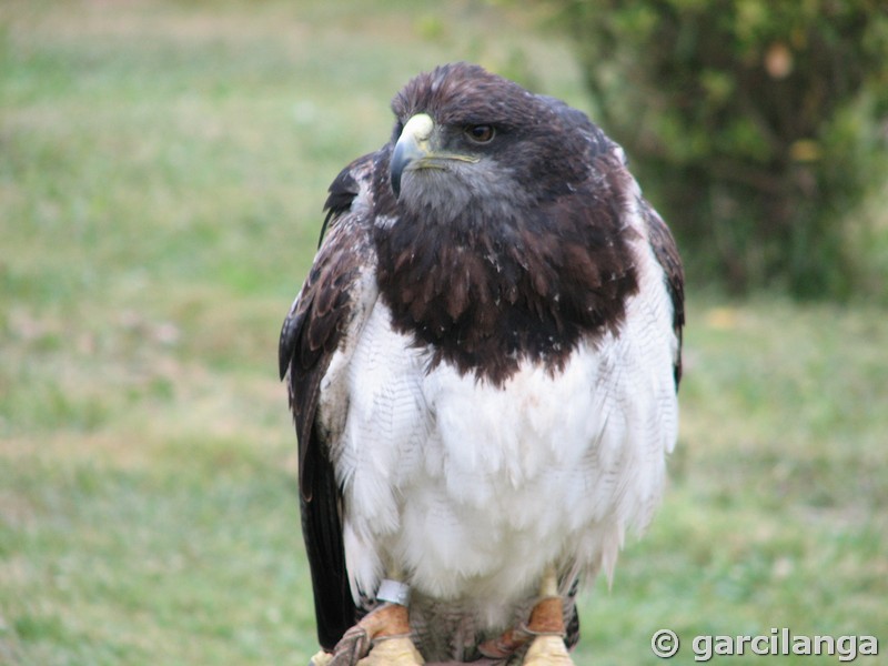 Parque Natural de Cabárceno