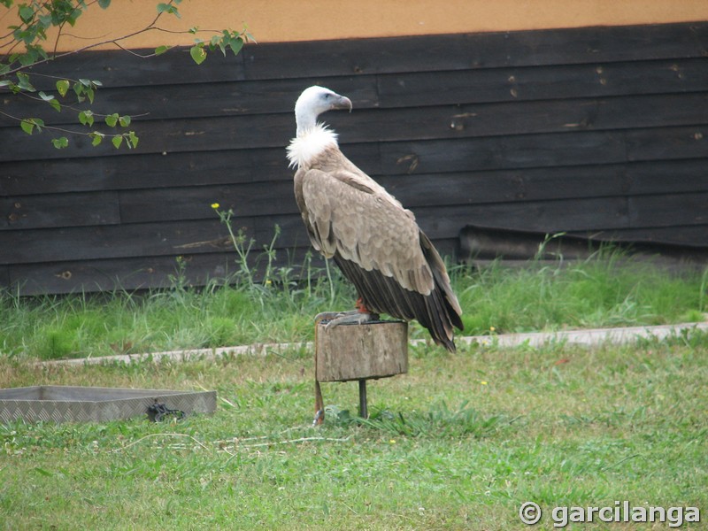 Parque Natural de Cabárceno