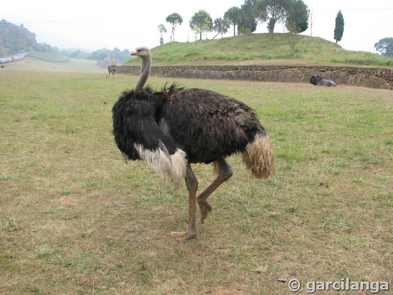 Parque Natural de Cabárceno