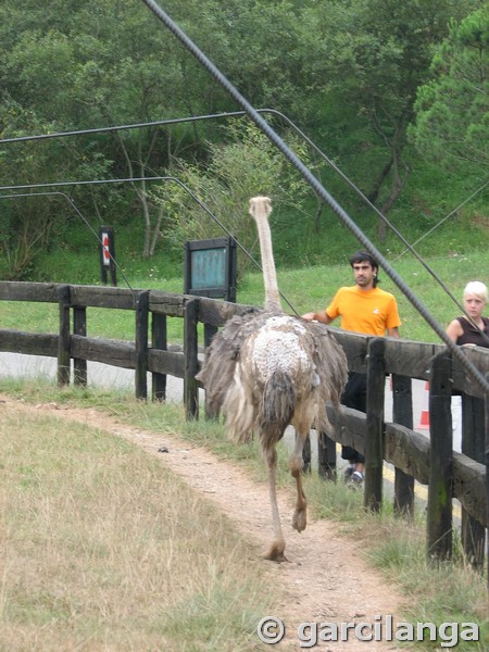 Parque Natural de Cabárceno