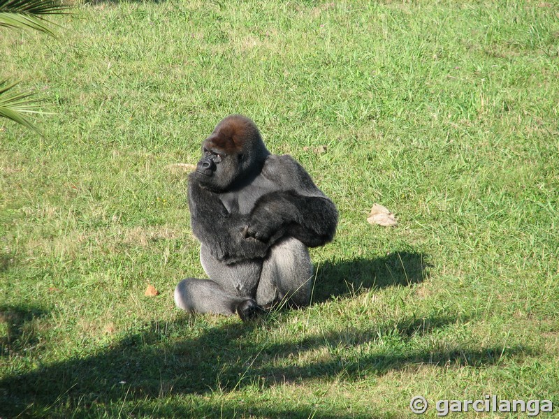 Parque Natural de Cabárceno