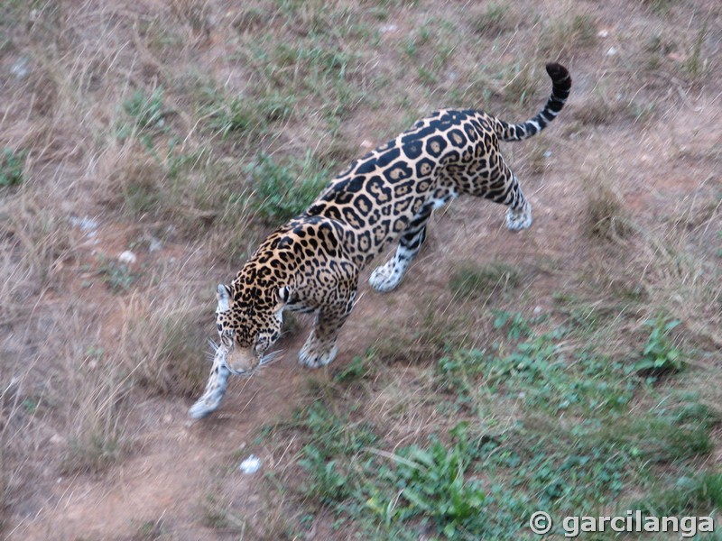 Parque Natural de Cabárceno