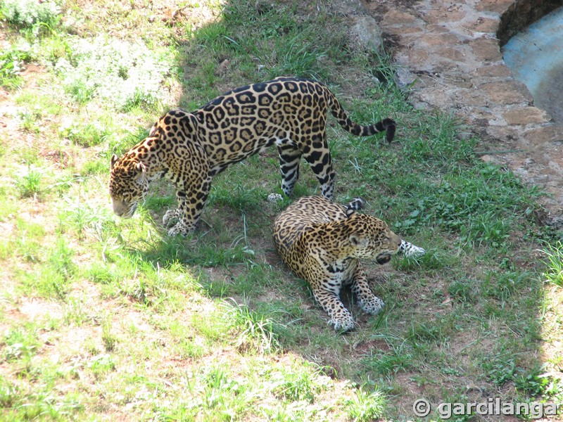 Parque Natural de Cabárceno