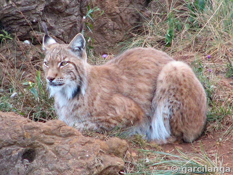 Parque Natural de Cabárceno