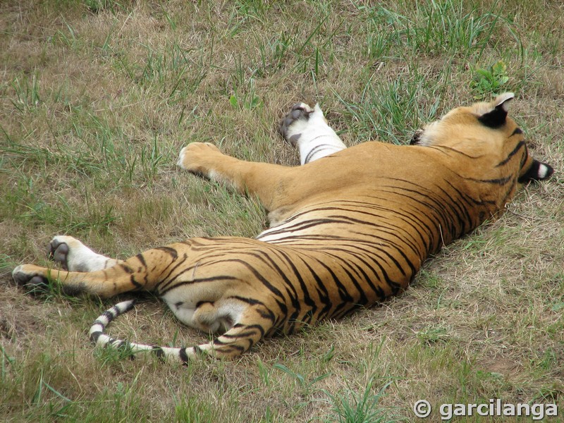 Parque Natural de Cabárceno