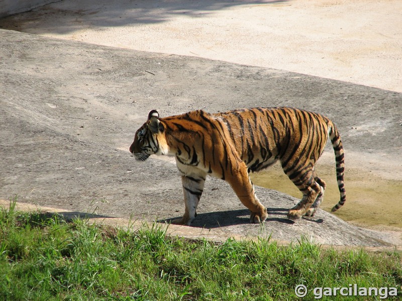 Parque Natural de Cabárceno