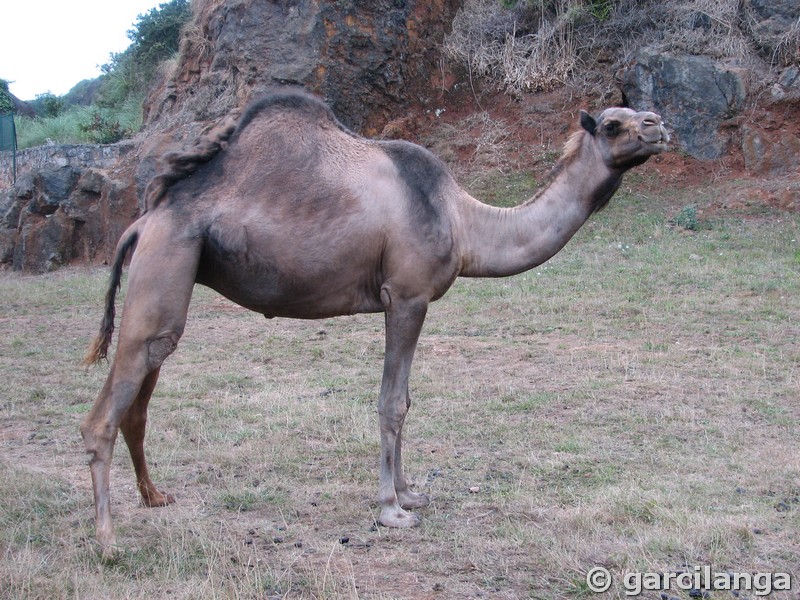 Parque Natural de Cabárceno