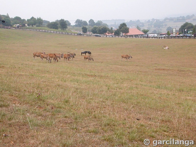 Parque Natural de Cabárceno