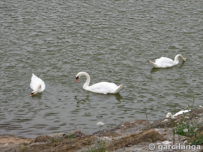 Parque Natural de Cabárceno