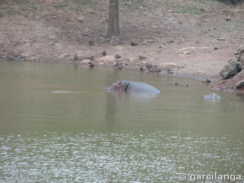 Parque Natural de Cabárceno