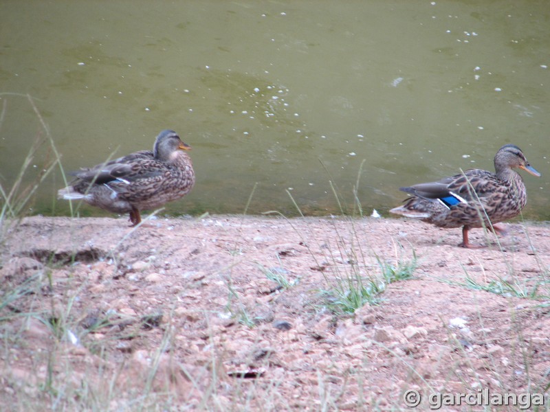 Parque Natural de Cabárceno