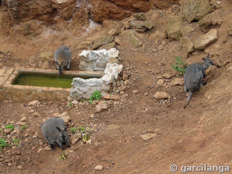 Parque Natural de Cabárceno