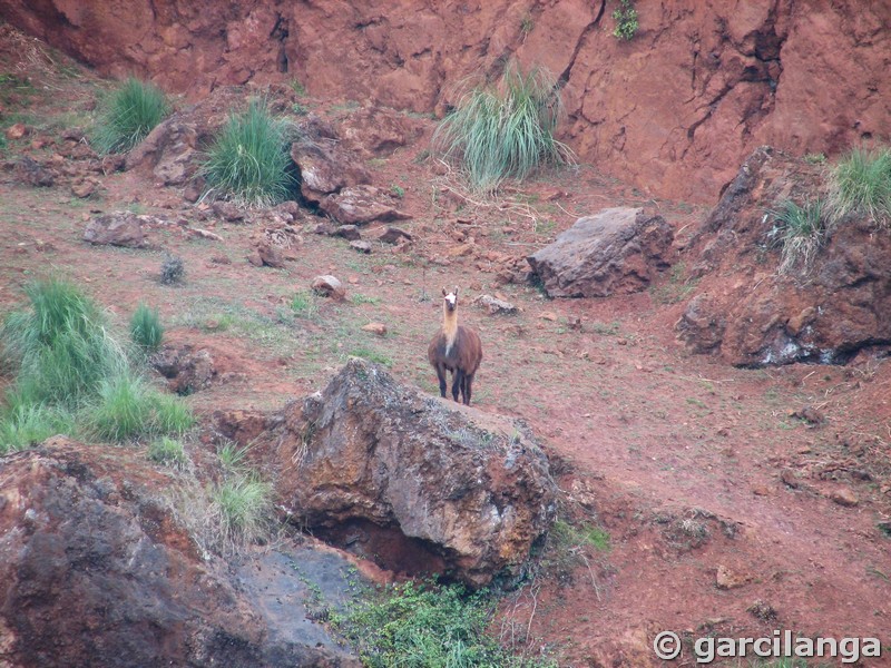 Parque Natural de Cabárceno