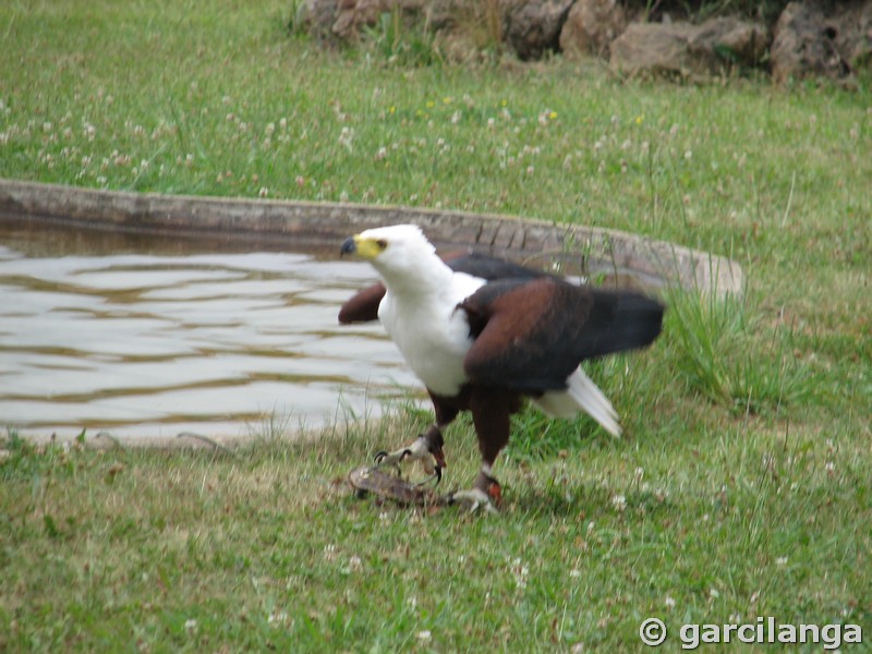 Parque Natural de Cabárceno