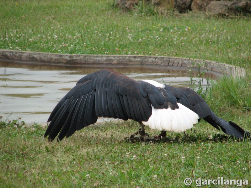 Parque Natural de Cabárceno